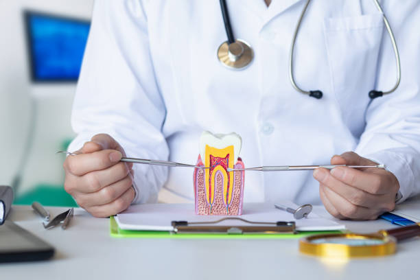 Best Emergency Dental Care for Trauma or Injury in North Tunica, MS